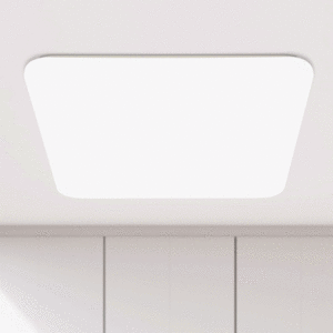 LED 로하스 방등 60W [2type]